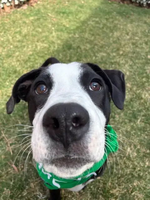 Marty