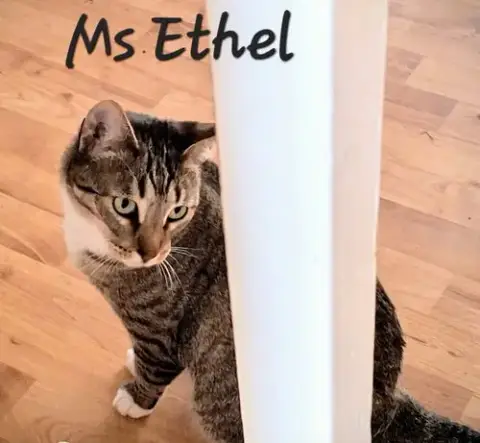Ms Ethel #Low-Maintenance