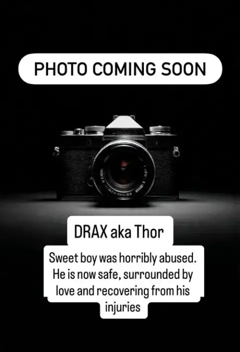 Drax Aka Thor photo 2