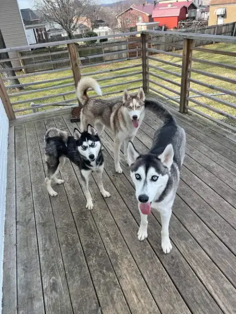 Kira photo 2
