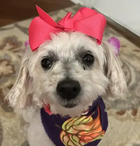 Skyler Faith