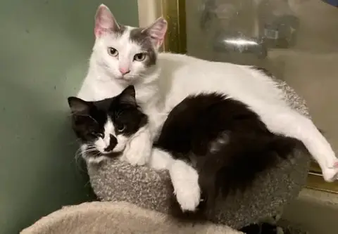 Mallory Bonded With Fran photo 2