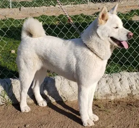 Luna photo 5