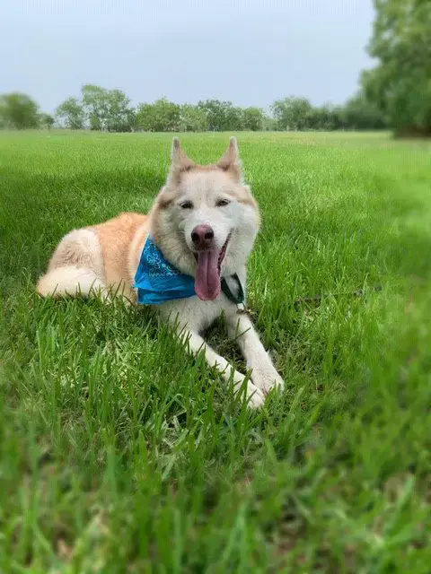 Mia photo 4