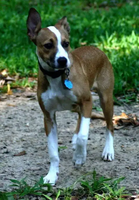 Sam photo 4