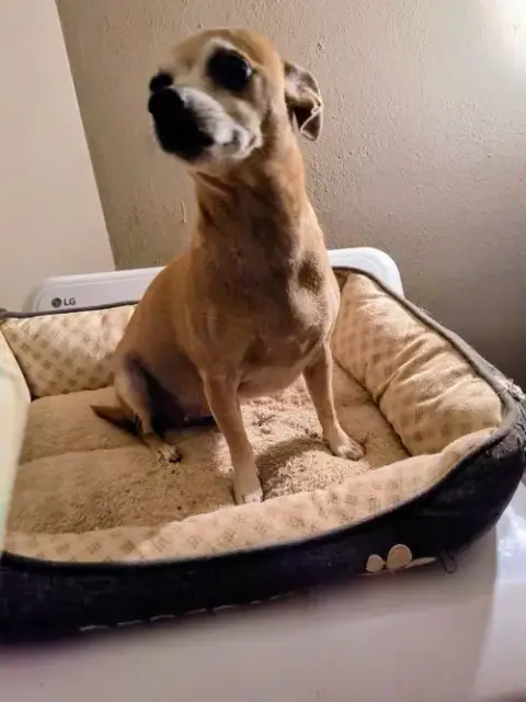 Mama Coco photo 2