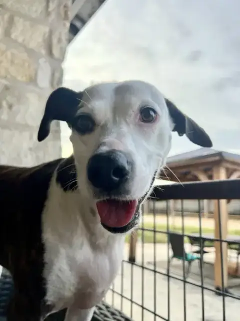 Piper Jo photo 2