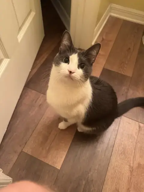 Carl