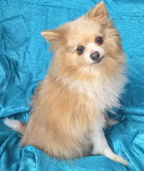 Gabe photo 2