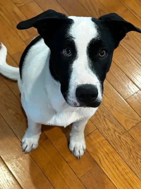 Max