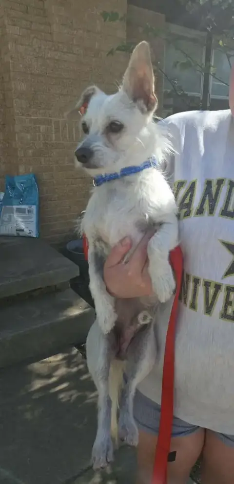 Arlo photo 3