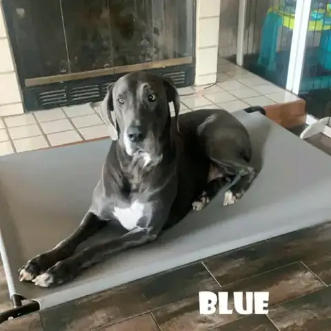 Blue photo 3