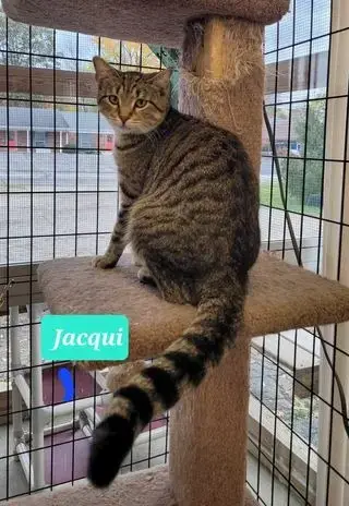 Jacqui-Sponsored photo 2