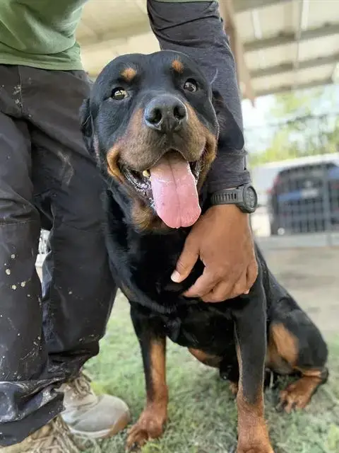Max