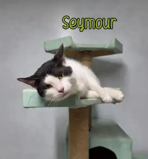 Sid