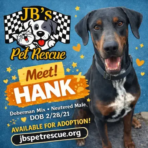 Hank photo 3