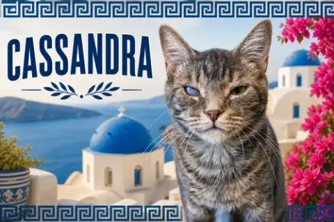 Cassandra