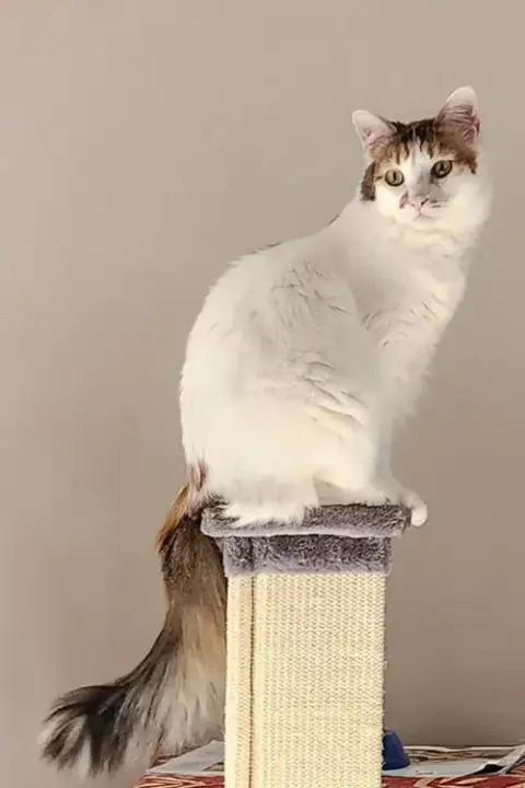 Lola photo 2