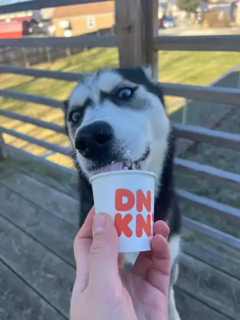 Kira photo 3