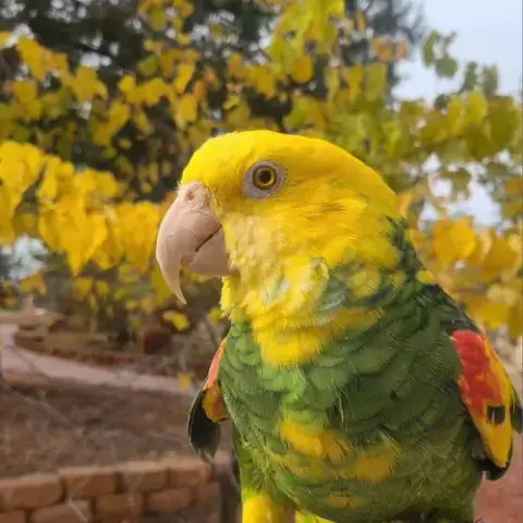 Mimi photo 2
