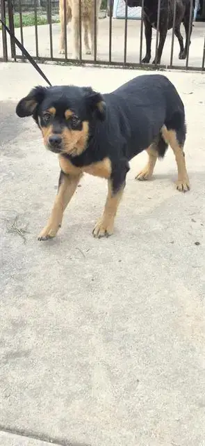 Solo