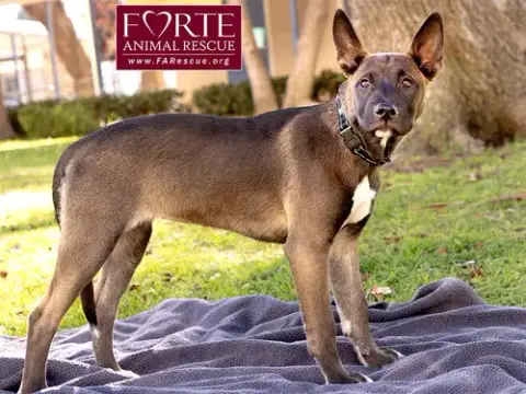 Spirit photo 3