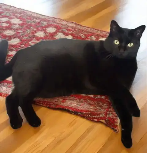 Mia photo 3
