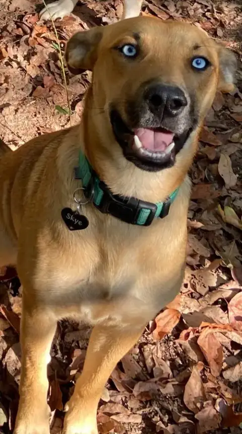 Skye