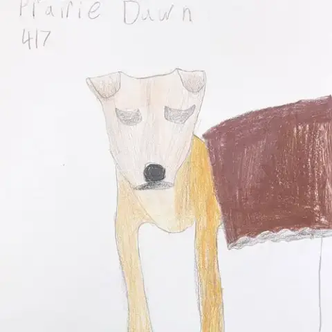 Prairie Dawn photo 5