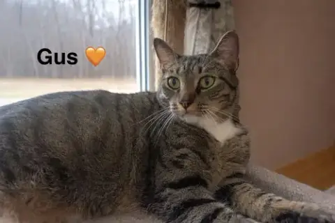 Gus photo 2