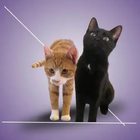 Cacio & Pepe