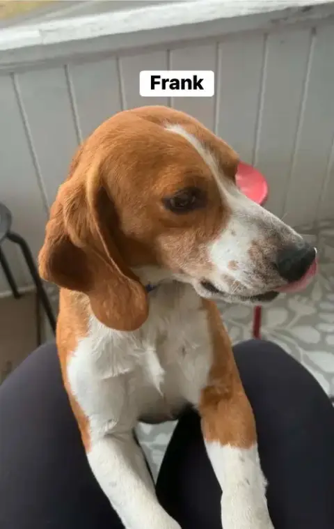 Frank