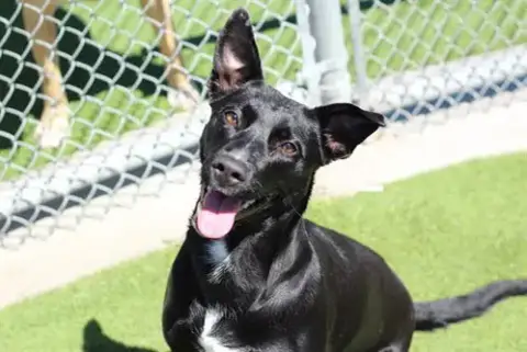 Xena