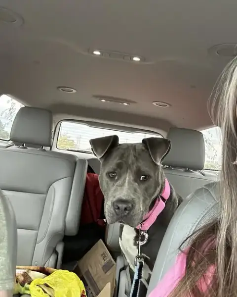 Bella photo 5