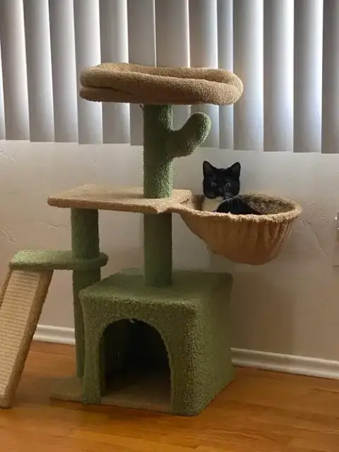 Bella photo 5