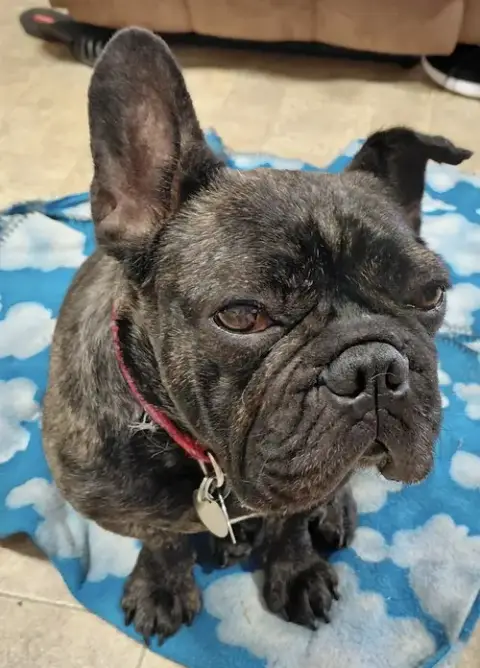 Lola photo 4