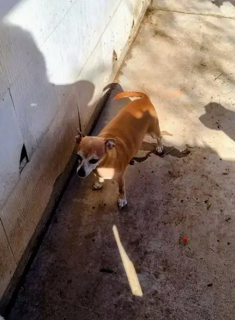 Mama Coco photo 3