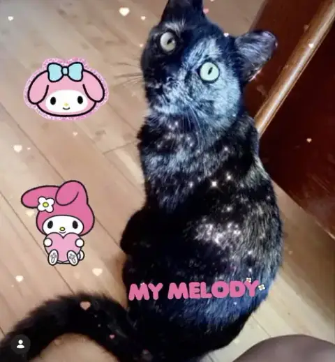 Melody