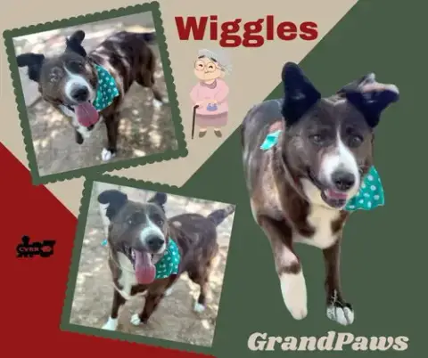 Wiggles