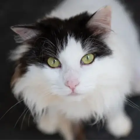 Precious