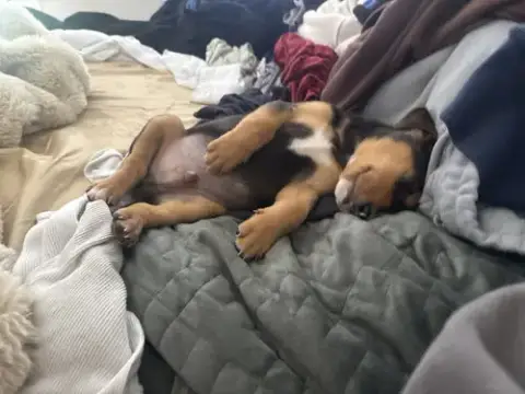 Lil Milo photo 2