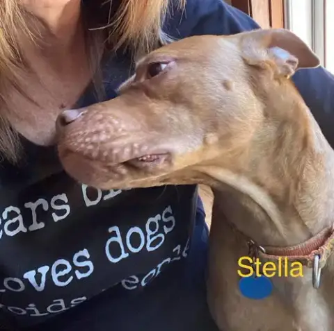 Stella photo 3