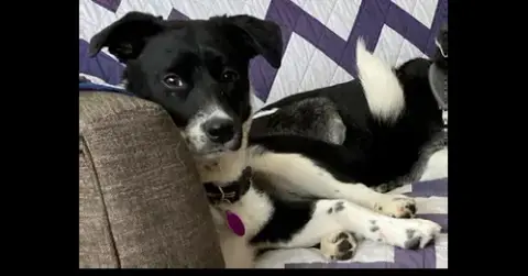 Minnie