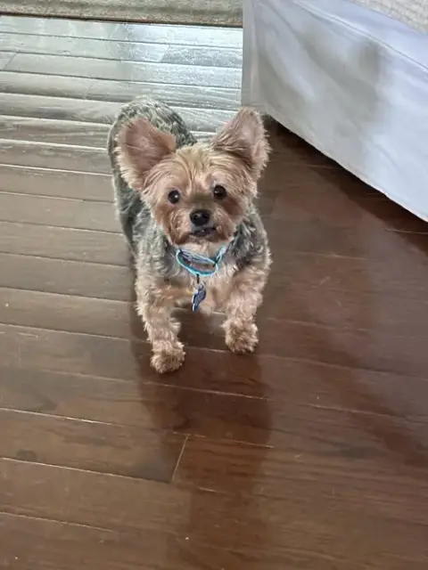 Jake photo 4