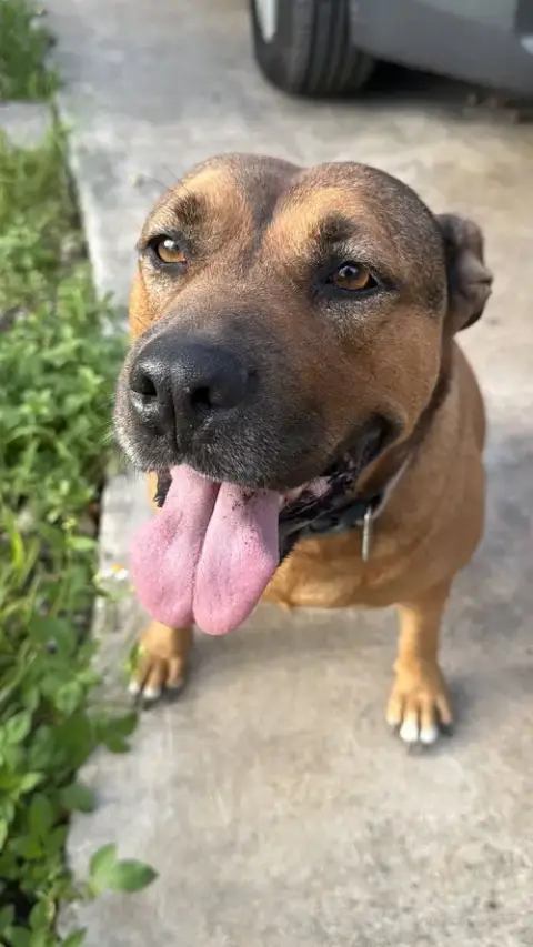 Courtesy Post: Roxy