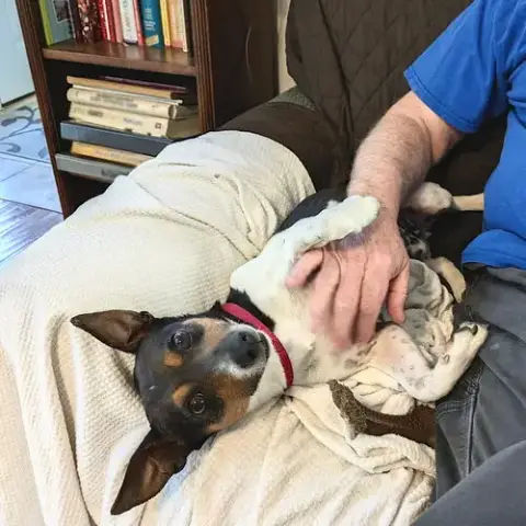 Pepper Jack photo 3