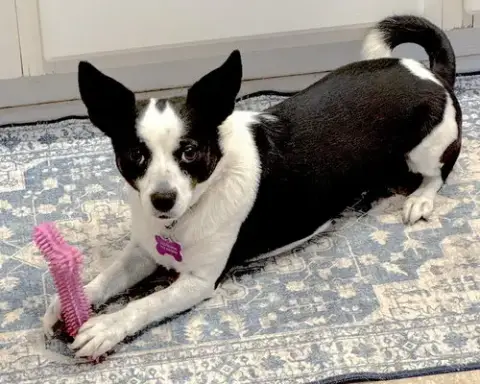 Evie photo 3