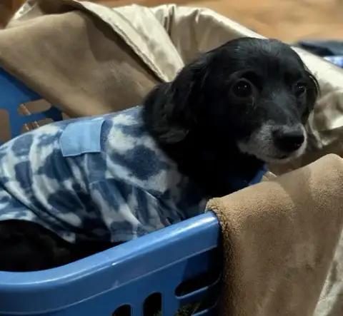 Buster photo 4
