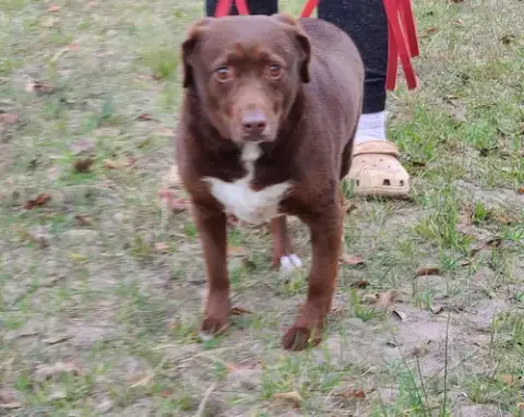 Bosco photo 2
