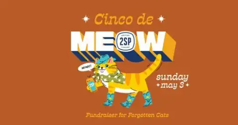 Cinco De Meow At 2Sp Brewing Co